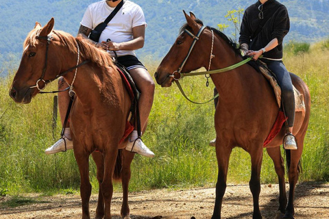 Fethiye Horse Riding Adventure with Hotel Pickup and Guide Fethiye Horse Riding Adventure with Hotel Transfer