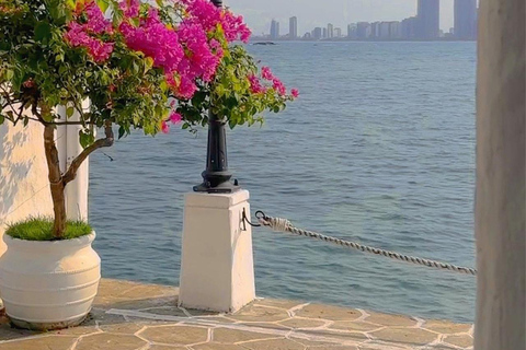 Ontdek Son Tra: legendarische jeeptour in het spoor van het Amerikaanse legerOntdek Son Tra: een avontuurlijke tour in een legendarische jeep van het Amerikaanse leger