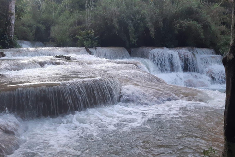 Luang Prabang: Kuang Si & Tad Sea Waterfall Day Trip