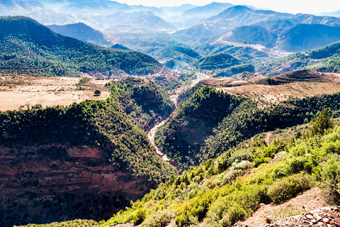 Agadir/Taghazout : Visite d'une demi-journée de la vallée du Paradis avec déjeunerVisite avec déjeuner