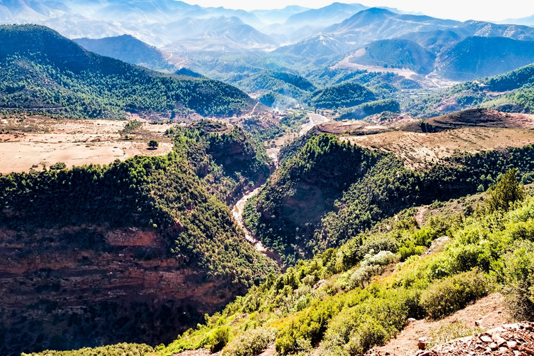 Agadir/Taghazout : Visite d'une demi-journée de la vallée du Paradis avec déjeunerVisite avec déjeuner