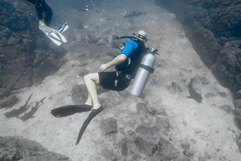 Tamarindo: Open Water Diver Certification Course