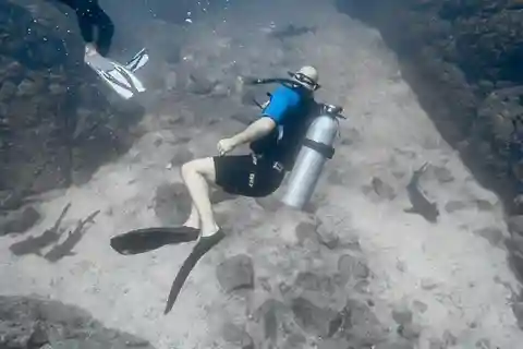 Tamarindo: Open Water Diver Certification Course
