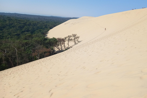 Dune du Pilat i degustacja ostryg! Co jeszcze?Degustacja Dune du Pilat i ostryg! Co jeszcze ?