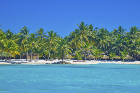 Punta Cana: Saona Island Day Trip with Blue Lagoon & Lunch