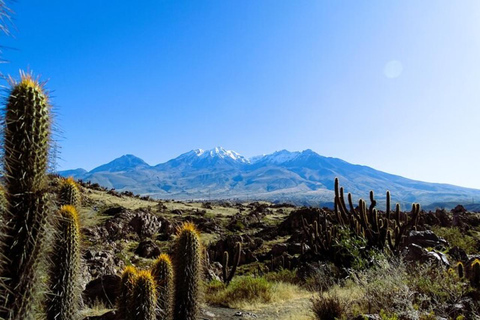 Arequipa: 3-timmars mountainbike-tur