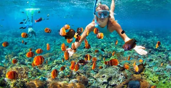 Key West Tour and Coral Reef Snorkeling with Open Bar