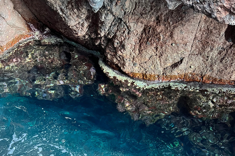 La réserve naturelle de Scandola