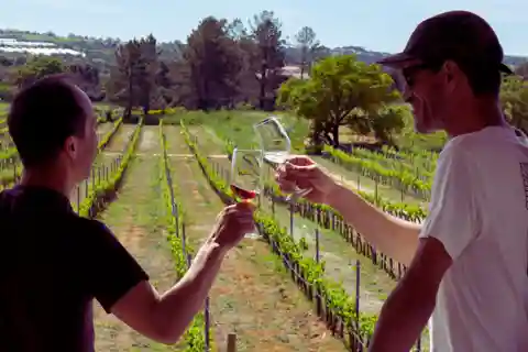 From Albufeira: Full-Day Wine Tasting Tour with a Guide