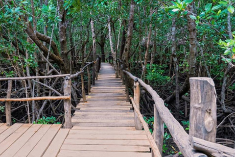 Zanzibar: Excursão a pé pela floresta de Jozani com guia de turismoZanzibar: Passeio pela floresta de Jozani e macacos colobus vermelhos de Zanzibar