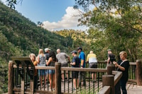 Grotta delle foreste pluviali e dei vermi luminosi, tour di un giorno da Brisbane - Hizvo