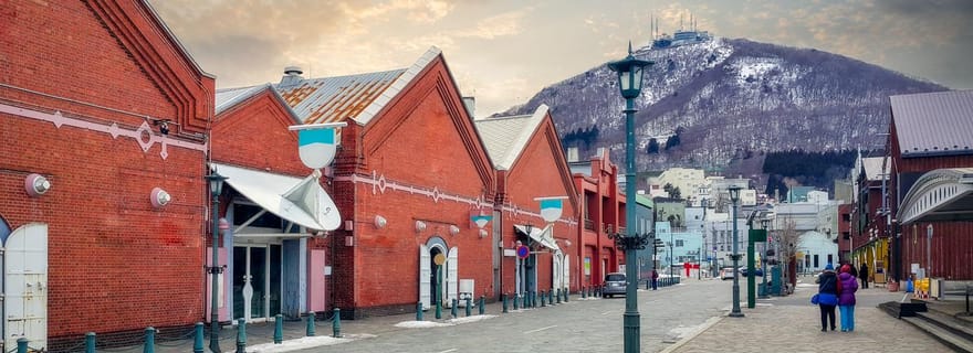 Excursion à terre « Les incontournables de Hakodate » (5 h) pour les croisiéristes
