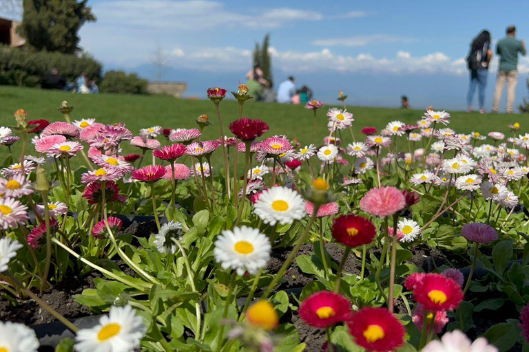 Tbilissi : Visite privée des vignobles de Kakheti avec déjeuner en famille