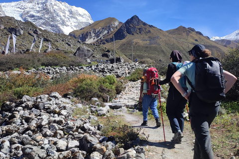Kathmandu: Langtang Valley Trek 8-Days Guided Trek