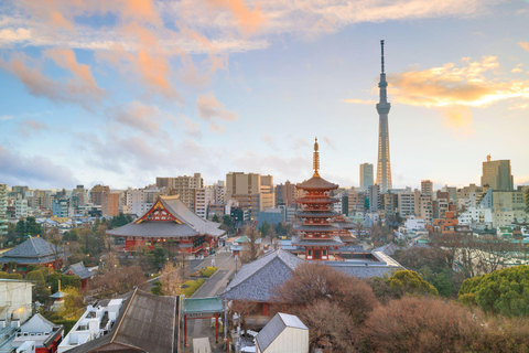 Tokyo - en halvdag Halvdagsutflykt på morgonen i liten grupp