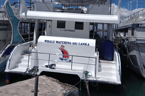 Mirissa Whale Watching Tour mit kostenlosem Frühstück an Bord