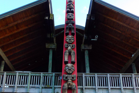 Auckland: tour privato della spiaggia di Piha, della foresta pluviale e del Monte EdenAuckland: tour privato alla spiaggia di Piha, alla foresta pluviale e al Monte Eden