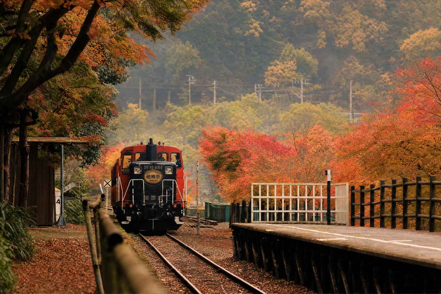 Kyoto: Arashiyama Tour with optional Sagano Romantic Train