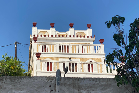 Isla de Spetses: excursión de día completo en autobús desde Atenas con bañoIsla de Spetses: excursión de un día en autobús desde Atenas con baño