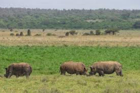 Tour di un giorno della fauna selvatica di Amboseli e visite ai villaggi Masai