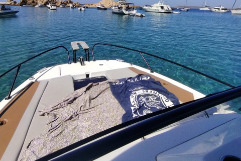Private Excursion to Hidden Coves, Snorkeling and Relaxation in the Essence of Menorca Private Full-Day Excursion: Hidden Coves, Snorkeling and Relaxation
