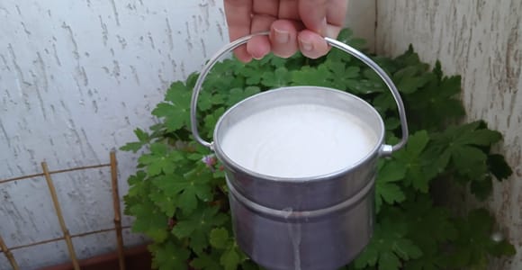 Sofia: Probier bulgarischen Joghurt Kiselo Mlyako in einem Familienhaus