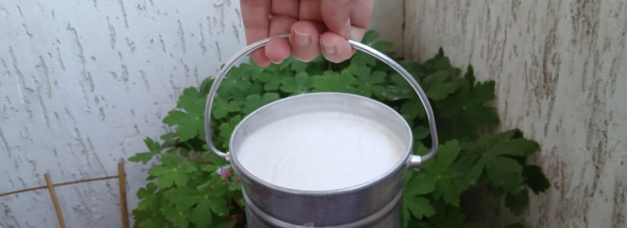 Sofia : Dégustez le yaourt bulgare Kiselo Mlyako dans une maison familiale