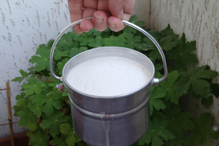 Sofia: Taste Bulgarian Kiselo Mlyako Yogurt in a Family Home