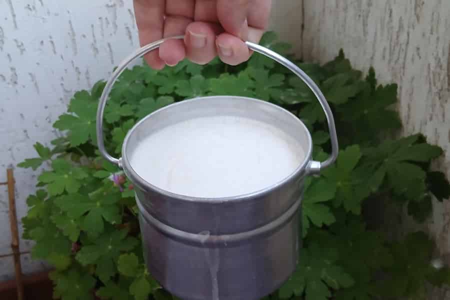 Sofia: Probier bulgarischen Kiselo Mlyako-Joghurt in einem Familienhaus. Foto: GetYourGuide