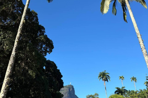 Day in Rio de Janeiro: Christ, secret beach, helicopter