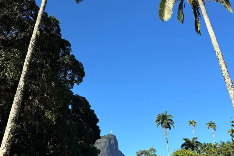 Day in Rio de Janeiro: Christ, secret beach, helicopter