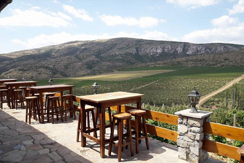 من سكوبي: زيارة وتذوق نبيذ لازار وقلعة سوبوتمن سكوبيه: زيارة وتذوق نبيذ لازار وقلعة سوبوت