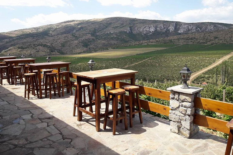 من سكوبي: زيارة وتذوق نبيذ لازار وقلعة سوبوتمن سكوبيه: زيارة وتذوق نبيذ لازار وقلعة سوبوت