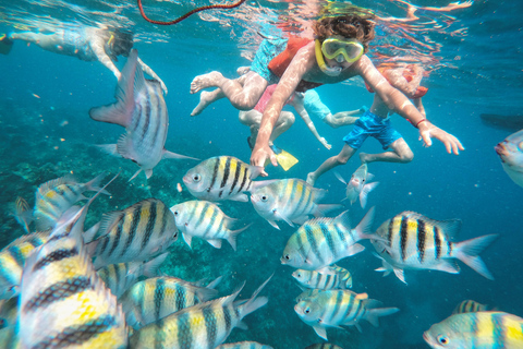 Demi-journée sur un yacht de luxe à Montego Bay