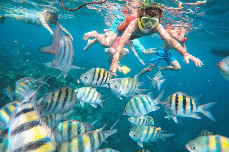 Demi-journée sur un yacht de luxe à Montego Bay