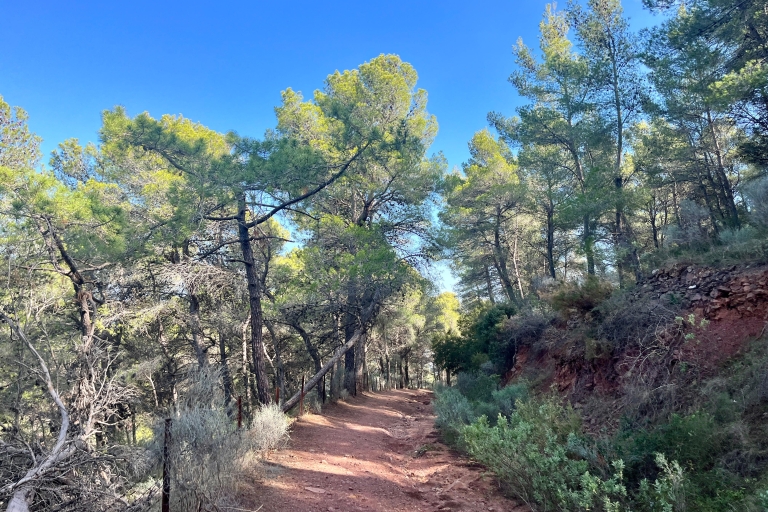 Valencia: Sierra Calderona & El Garbí Mountain hiking Tour Sierra Calderona: Hike on the best Natural Park in Valencia