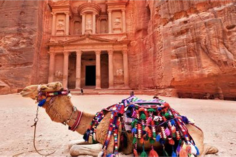 من عمّان: شهر عسل في الأردن لمدة 4 أيام مع رحلة رومانسية