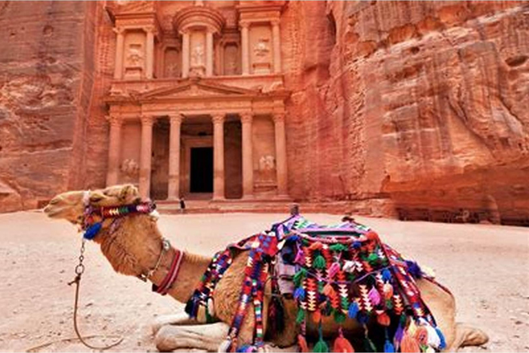 من عمّان: شهر عسل في الأردن لمدة 4 أيام مع رحلة رومانسية