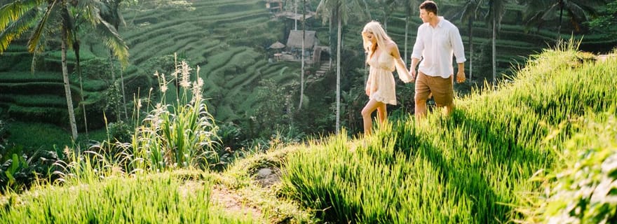 Excursion privée d'une journée à Ubud tout compris