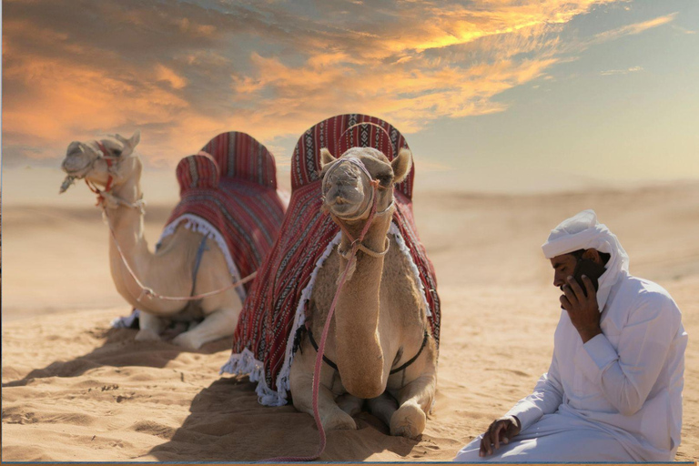 Doha:Inland Sea Guided Tour with Local Expert & Refreshments