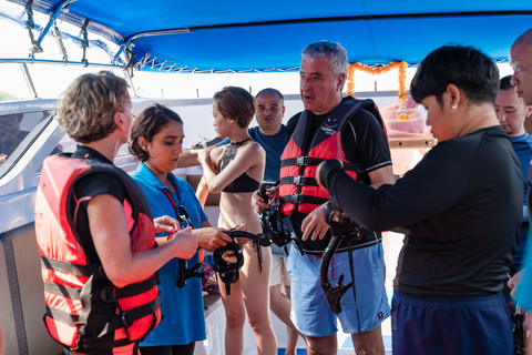 Koh Samui: Pig Island Tour by Speedboat with Snorkeling Private Tour or Cruise Ship Option