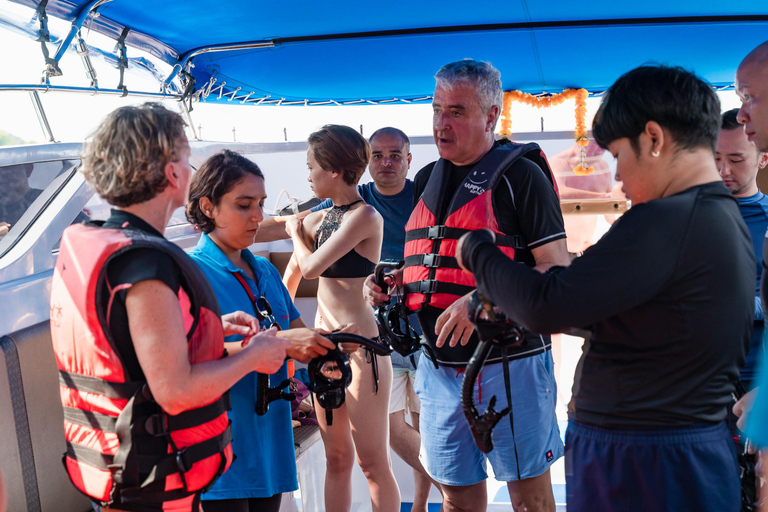 Koh Samui: Pig Island Tour by Speedboat with Snorkeling Private Tour or Cruise Ship Option