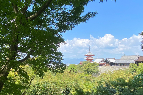 Entdecke Nara, Kiyozumi-dera &amp; Fushimi Inari von Osaka aus