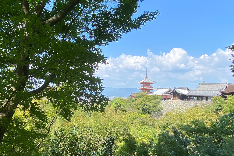 Entdecke Nara, Kiyozumi-dera &amp; Fushimi Inari von Osaka aus