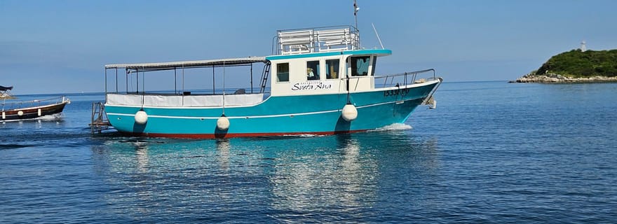 Excursion en bateau et safari dauphins depuis la marina de Funtana