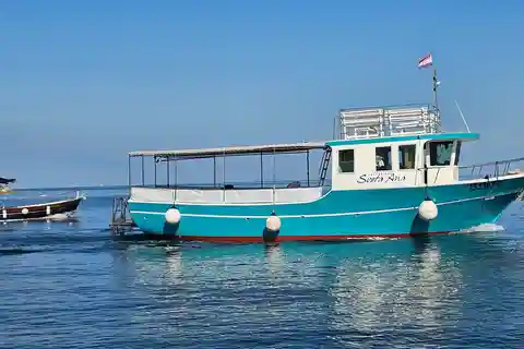 Funtana, Vrsar: safari con i delfini, bevande incluse