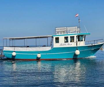 Funtana, Vrsar: safári de golfinhos, bebidas incluídas