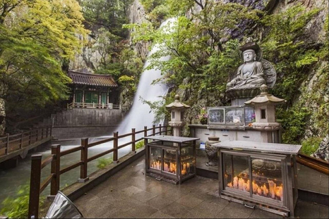 From Busan: Hidden Buddhist Temples Tour Private Day Trip 4-hour Seokbulsa & Hongryongsa Temple Tour