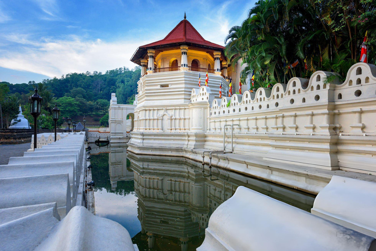 Golden Hills: Colmbo to Kandy Full-Day Tour
