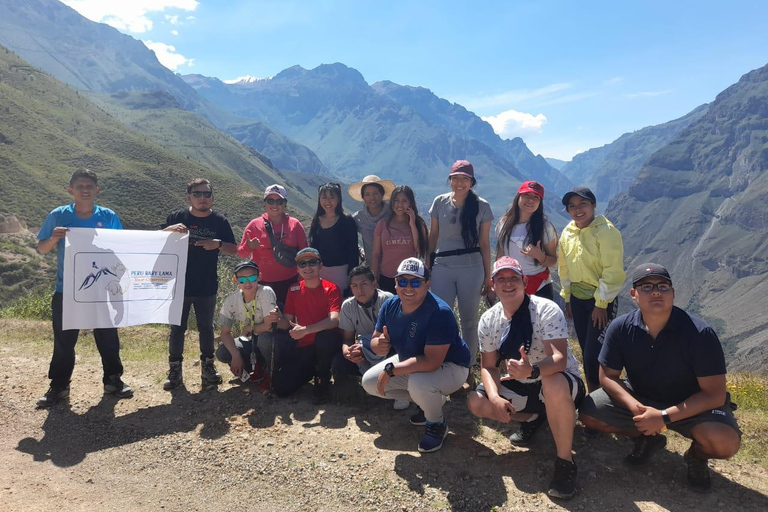 From Arequipa: 2-day Colca hike, meals includedcaminhada